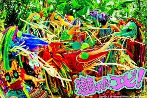 溺れたエビの検視報告書